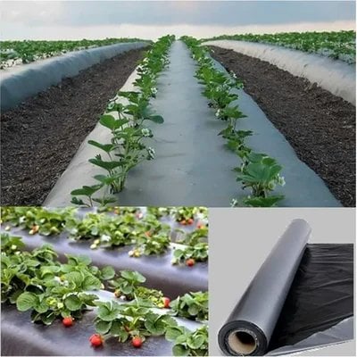 Agricultural Mulching Film (Black) | Soil Moisture Retention | Crop Protection